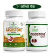 Gasostone Tablet+ Disostone Tablet ( Combo Pack)