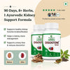 Kidney StoneCombo Pack