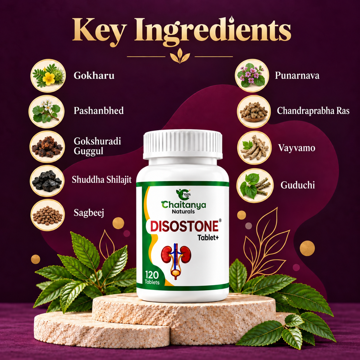 Kidney Stone Care Plus