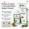 Kidney StoneCombo Pack