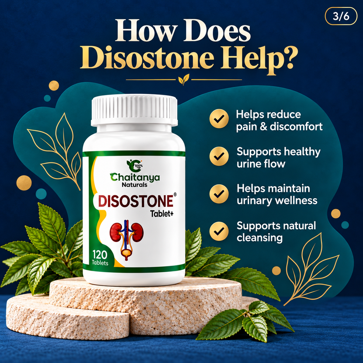Kidney Stone Care Plus